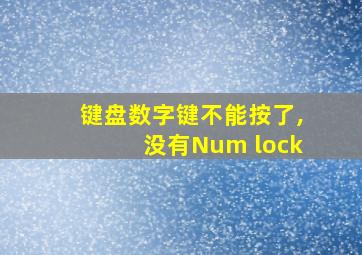 键盘数字键不能按了,没有Num lock